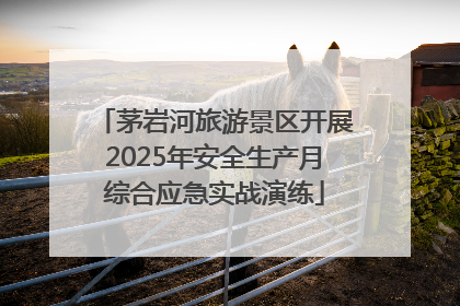 茅岩河旅游景区开展2025年安全生产月综合应急实战演练