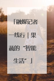 融媒记者一线行｜果蔬的“智能生活”