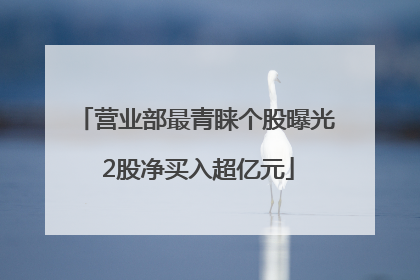 营业部最青睐个股曝光 2股净买入超亿元