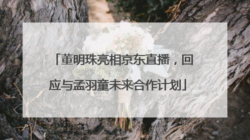董明珠亮相京东直播，回应与孟羽童未来合作计划