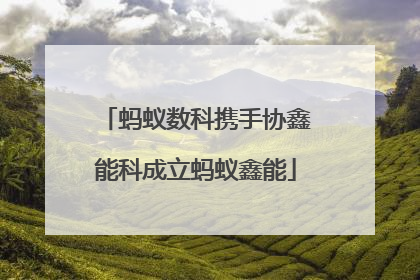 蚂蚁数科携手协鑫能科成立蚂蚁鑫能