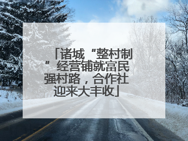 诸城“整村制”经营铺就富民强村路，合作社迎来大丰收