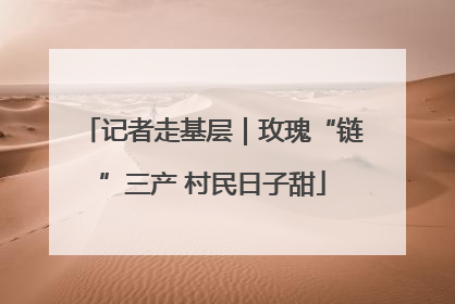 记者走基层｜玫瑰“链”三产 村民日子甜