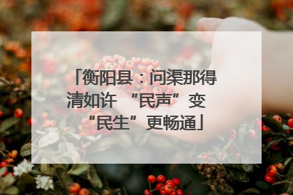 衡阳县：问渠那得清如许 “民声”变“民生”更畅通