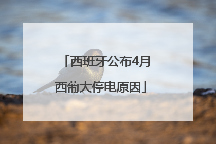 西班牙公布4月西葡大停电原因