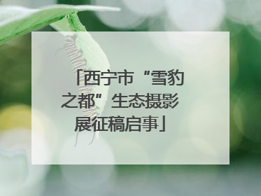西宁市“雪豹之都”生态摄影展征稿启事