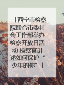 西宁市检察院联合市委社会工作部举办检察开放日活动 检察官讲述如何保护“少年的你”