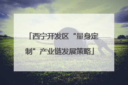 西宁开发区“量身定制”产业链发展策略