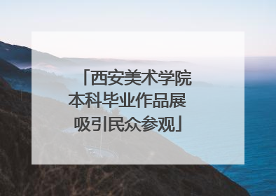 西安美术学院本科毕业作品展吸引民众参观