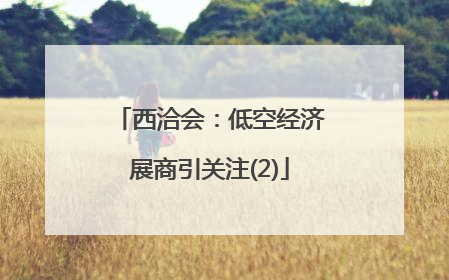 西洽会：低空经济展商引关注(2)