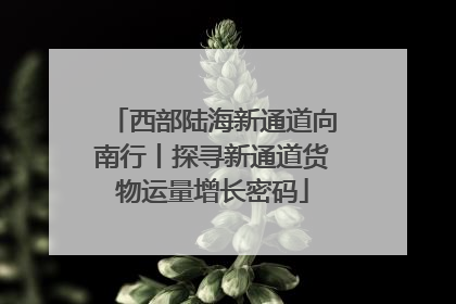 西部陆海新通道向南行丨探寻新通道货物运量增长密码