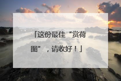 这份最佳“赏荷图”，请收好！