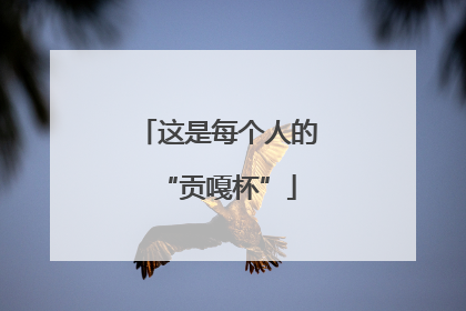 这是每个人的“贡嘎杯”
