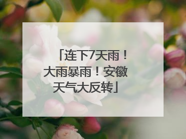 连下7天雨！大雨暴雨！安徽天气大反转