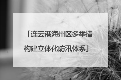 连云港海州区多举措构建立体化防汛体系