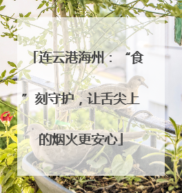 连云港海州：“食”刻守护，让舌尖上的烟火更安心