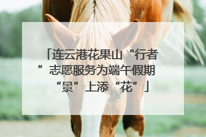 连云港花果山“行者”志愿服务为端午假期“景”上添“花”