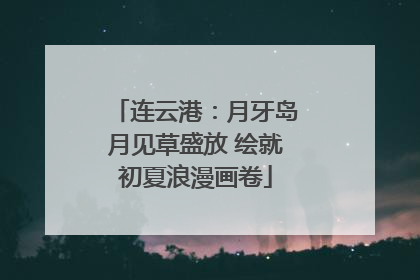 连云港：月牙岛月见草盛放 绘就初夏浪漫画卷