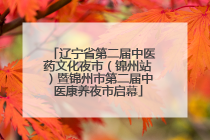 辽宁省第二届中医药文化夜市（锦州站）暨锦州市第二届中医康养夜市启幕