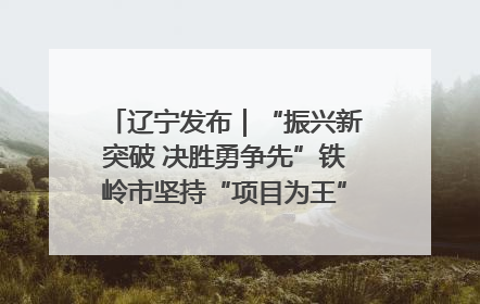辽宁发布｜“振兴新突破 决胜勇争先”铁岭市坚持“项目为王”推进经济高质量发展