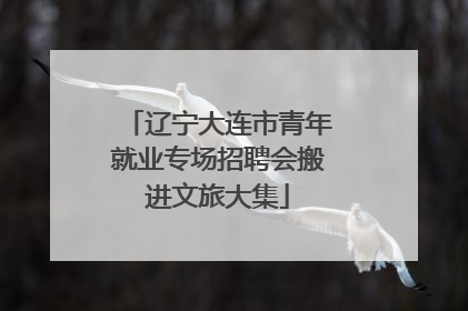 辽宁大连市青年就业专场招聘会搬进文旅大集