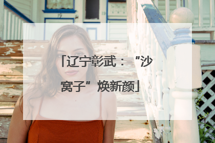 辽宁彰武：“沙窝子”焕新颜