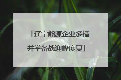 辽宁能源企业多措并举备战迎峰度夏