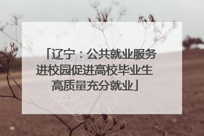 辽宁：公共就业服务进校园促进高校毕业生高质量充分就业