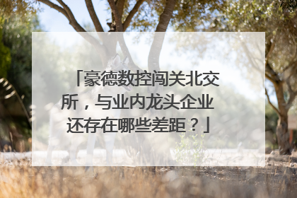 豪德数控闯关北交所，与业内龙头企业还存在哪些差距？