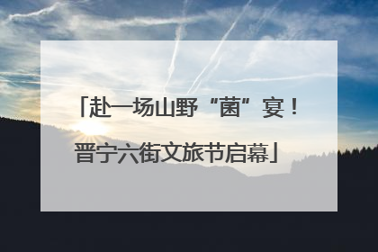 赴一场山野“菌”宴！晋宁六街文旅节启幕