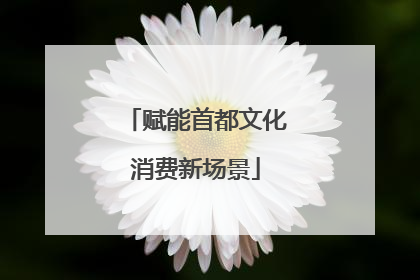 赋能首都文化消费新场景