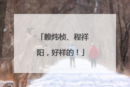 赖炜桢、程祥阳，好样的！