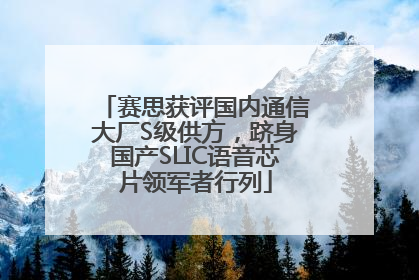 赛思获评国内通信大厂S级供方，跻身国产SLIC语音芯片领军者行列
