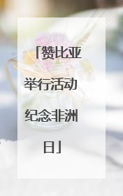 赞比亚举行活动纪念非洲日