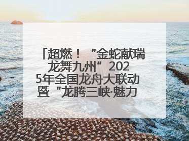 超燃！“金蛇献瑞 龙舞九州”2025年全国龙舟大联动暨“龙腾三峡·魅力巫山”龙舟邀请赛圆满落幕！