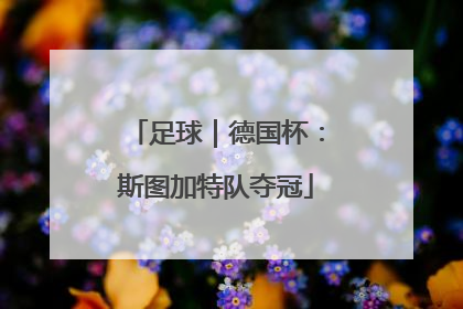 足球｜德国杯：斯图加特队夺冠