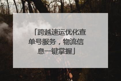 跨越速运优化查单号服务，物流信息一键掌握