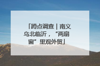 蹲点调查｜南义乌北临沂，“两扇窗”里观外贸