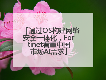通过OS构建网络安全一体化，Fortinet看重中国市场AI需求