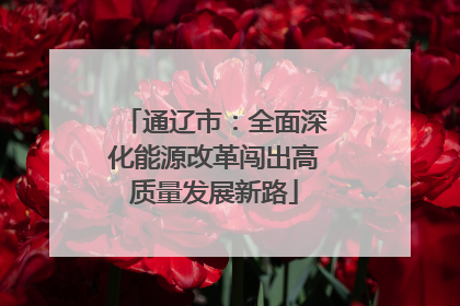 通辽市：全面深化能源改革闯出高质量发展新路