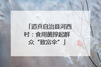 道真自治县河西村：食用菌撑起群众“致富伞”