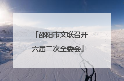 邵阳市文联召开六届二次全委会