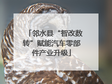 邻水县“智改数转”赋能汽车零部件产业升级