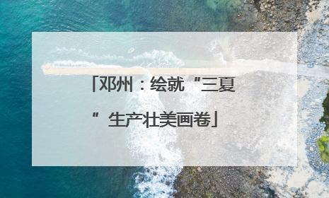 邓州：绘就“三夏”生产壮美画卷
