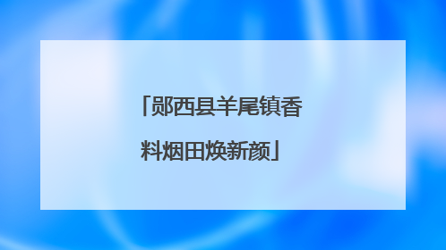 郧西县羊尾镇香料烟田焕新颜