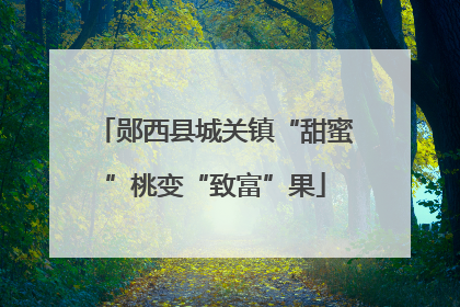 郧西县城关镇“甜蜜”桃变“致富”果