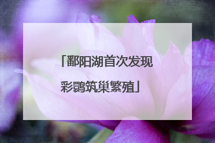 鄱阳湖首次发现彩鹮筑巢繁殖