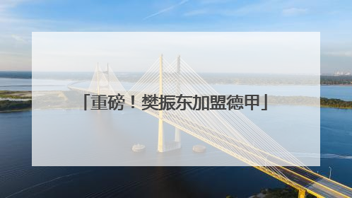 重磅！樊振东加盟德甲
