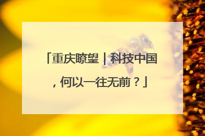 重庆瞭望｜科技中国，何以一往无前？