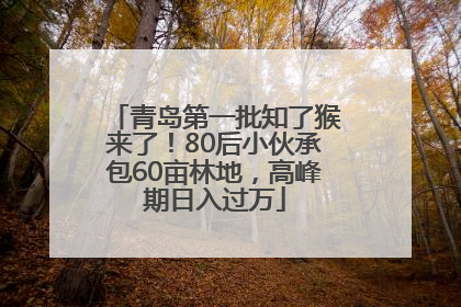青岛第一批知了猴来了！80后小伙承包60亩林地，高峰期日入过万